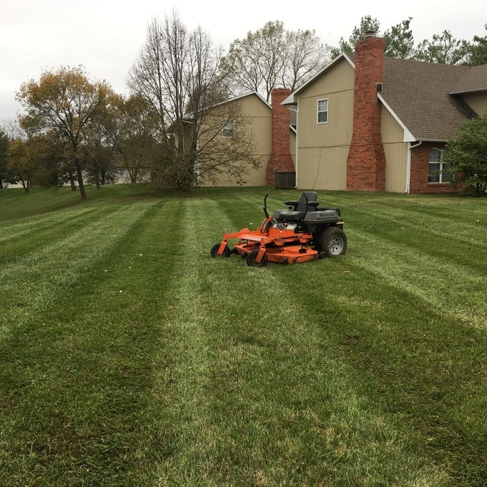 Mowing rental property