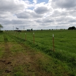 5 strand barbwire