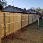 6 ft pine privacy