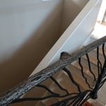 Texture and real flow