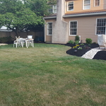 better angle of the back