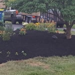 mulched around the flowers