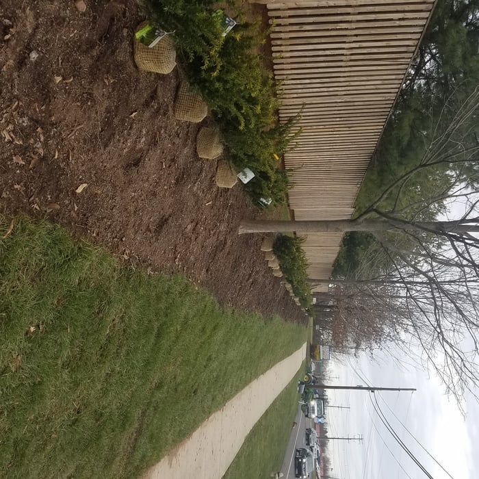 i had the plants set up and ready to go in