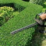 Shrub Trimming