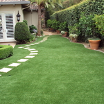 Spring and Fall Cleanups