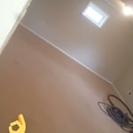Carpet Cleaning