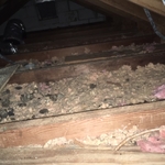 Attic Restoration Before
