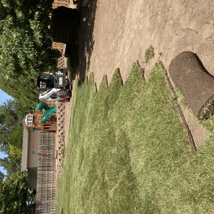 Laying sod