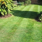 Mow Lawn, Weeding, Edging