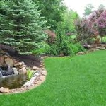 Mow Lawn, Weeding, Edging