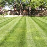 Mow Lawn, Weeding, Edging