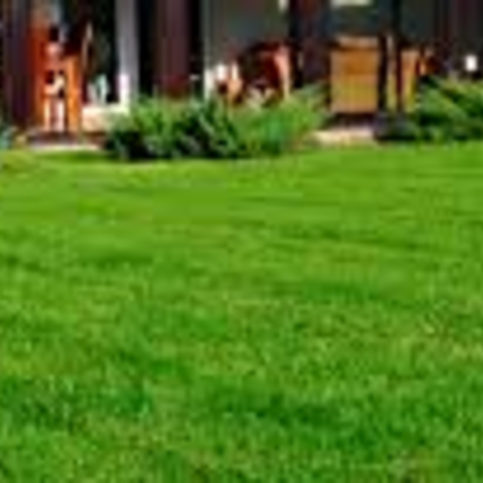 Mow Lawn, Weeding, Edging