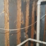 Termite Damage