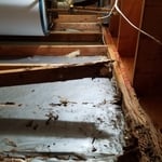 Sill Plate Termite Damage