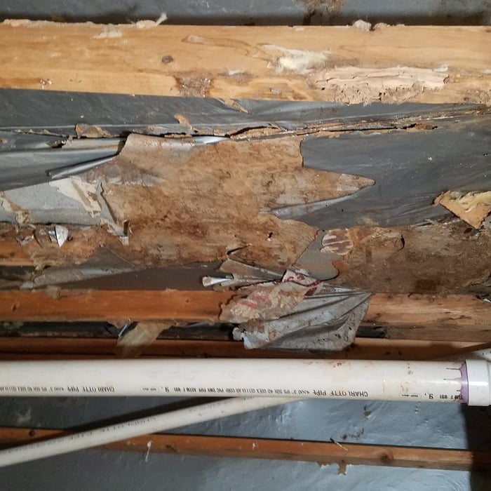 Bad Termite damage