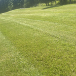 My Work