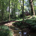 Great old bridge found deep in the woods in Athens