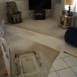 Before Picture