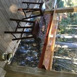 The bar in the Raccoon Saloon