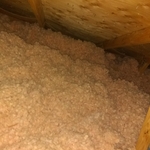 Raccoon activity in attic