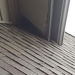 Raccoon entrance