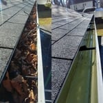 Gutter Cleanning