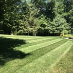 Lawn maintenance