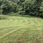 Lawn maintenance