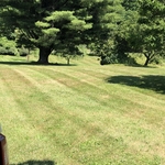 Lawn maintenance