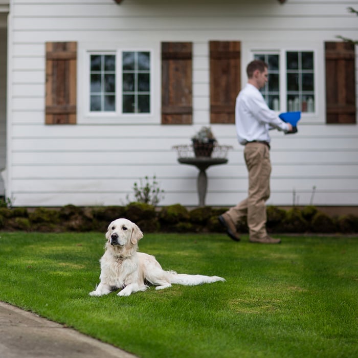 Granulating Yard