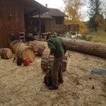 My work