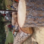 My work