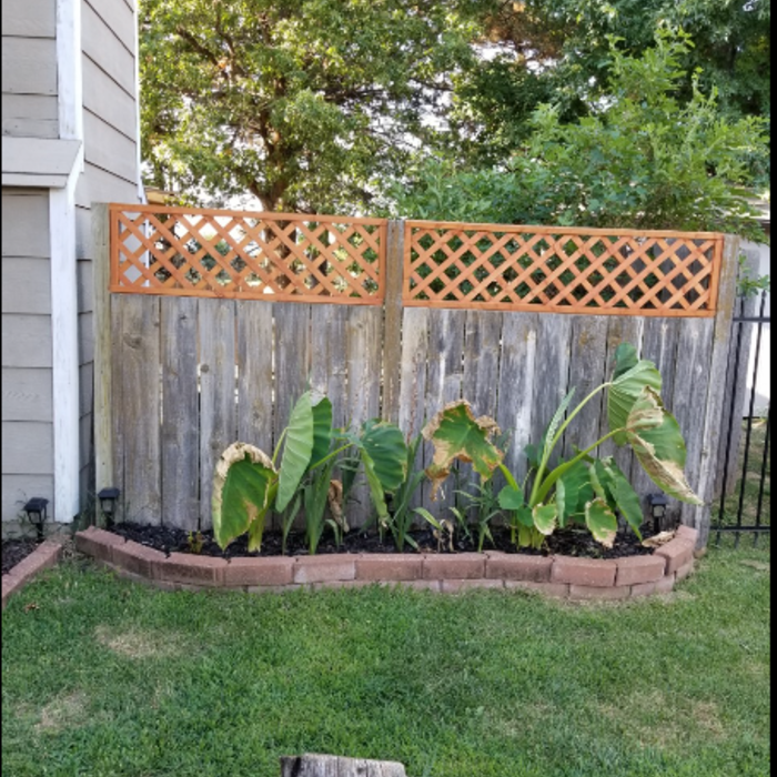 Fencing Wash
