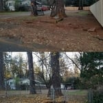 CHAIN LINK FENCE REMOVAL LEAF REMOVAL