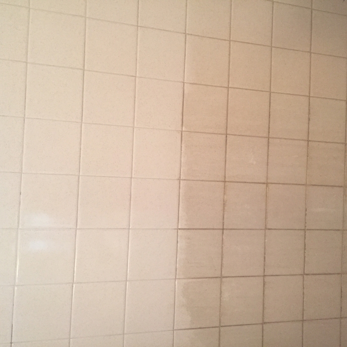 Shower walls (Tile cleaning)