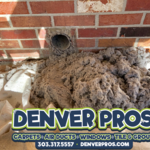 Dyer Vent Cleaning