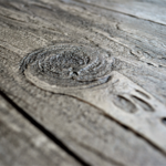 wood plank'