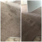 Carpet Deep Clean