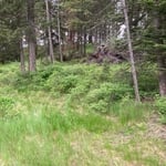 522 Braeburn Drive