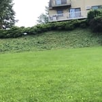 All cleaned up and trimmer