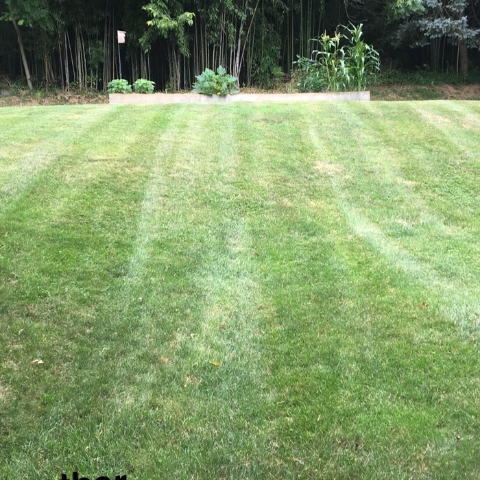 Mowing