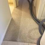 Grey Carpet