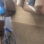 Tan Carpet