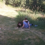 Lawn And weed eating