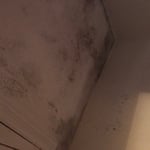 Ceiling