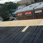 Repair of damage wood