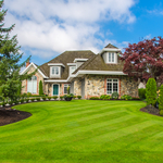 Nice Lawn!!