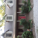 lynville