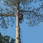 Removal process