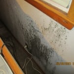 Mold discovered behind bed